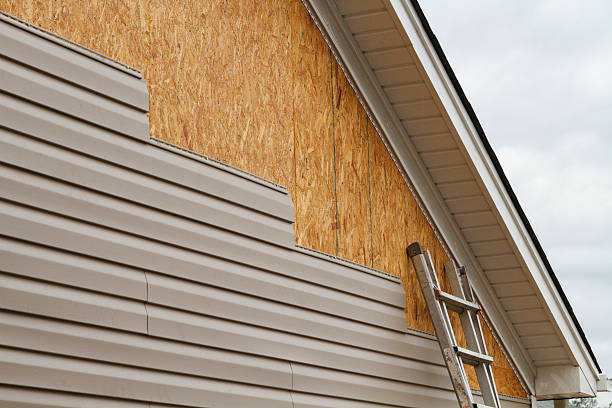 Professional Siding Inspection technician working in West Mansfield, OH